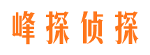 镇安出轨调查